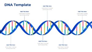 DNA Template