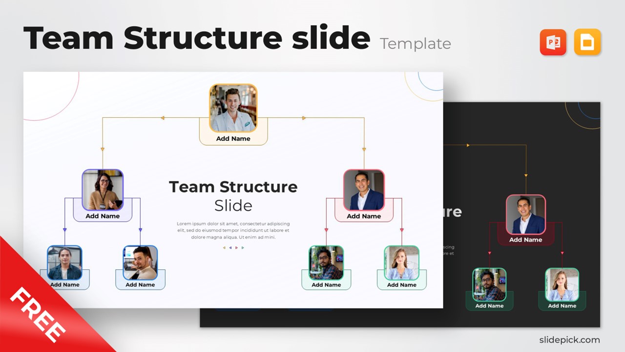 Free Team Structure slide