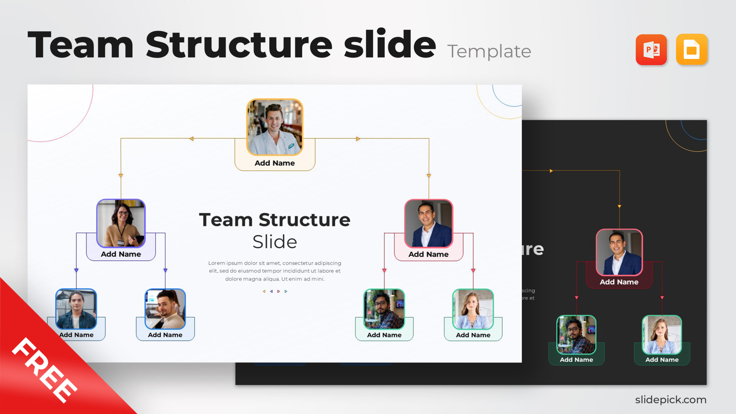Free Team Structure slide