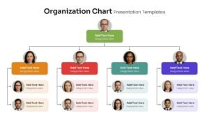 Organization Chart Template