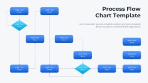 Process Flow Chart