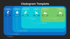 Cladogram Evolution Diagram for Biology Presentations