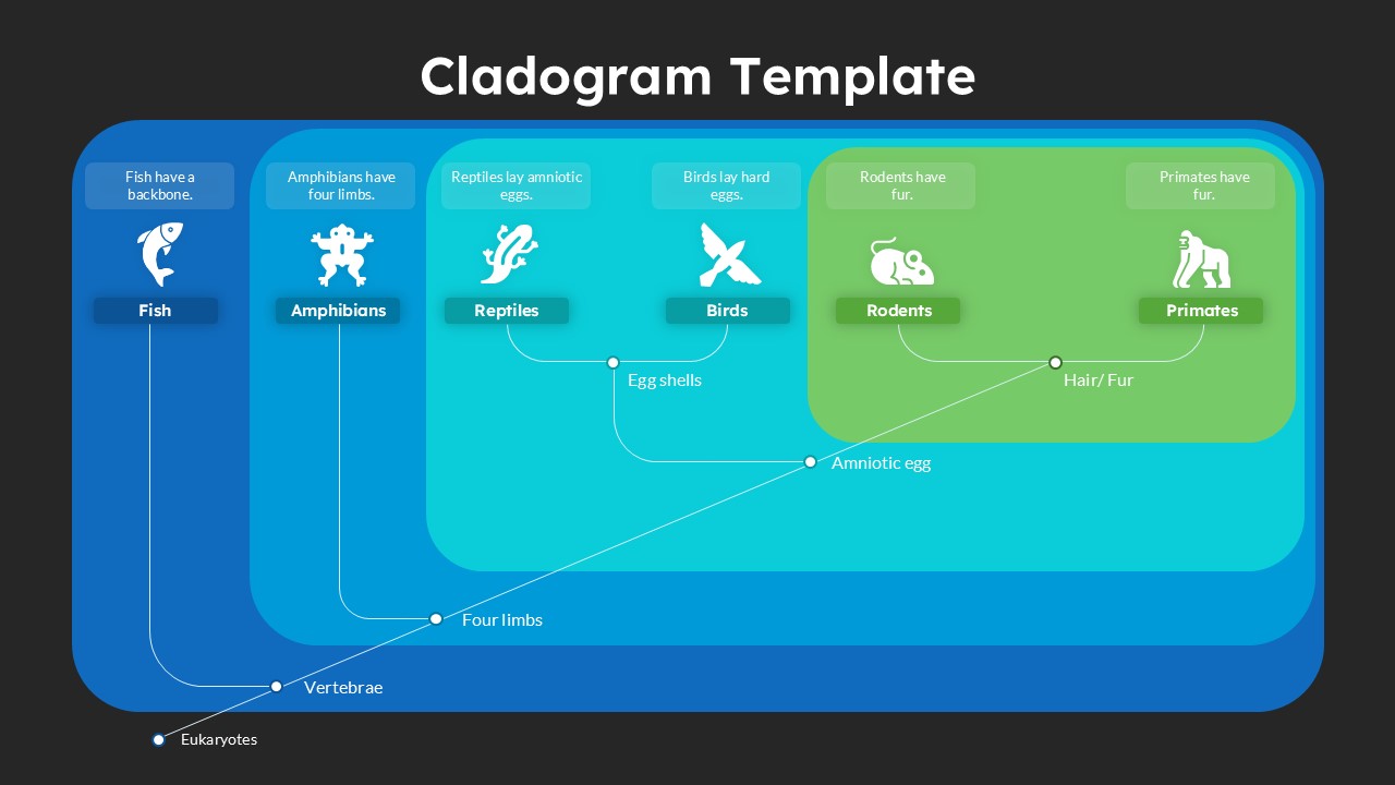 Cladogram Evolution Diagram for Biology Presentations