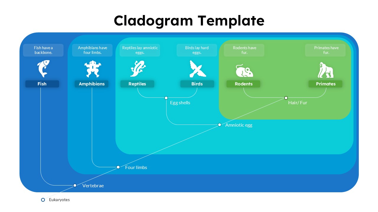 Cladogram Template for Educational Presentations