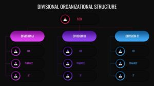 Divisional Company Org Structure Presentation Slide